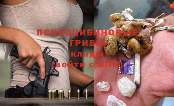прущие грибы Алзамай