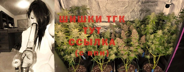 прущие грибы Алзамай