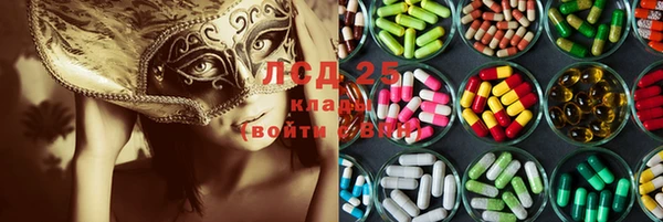 гидра Алексеевка