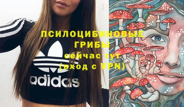 прущие грибы Алзамай